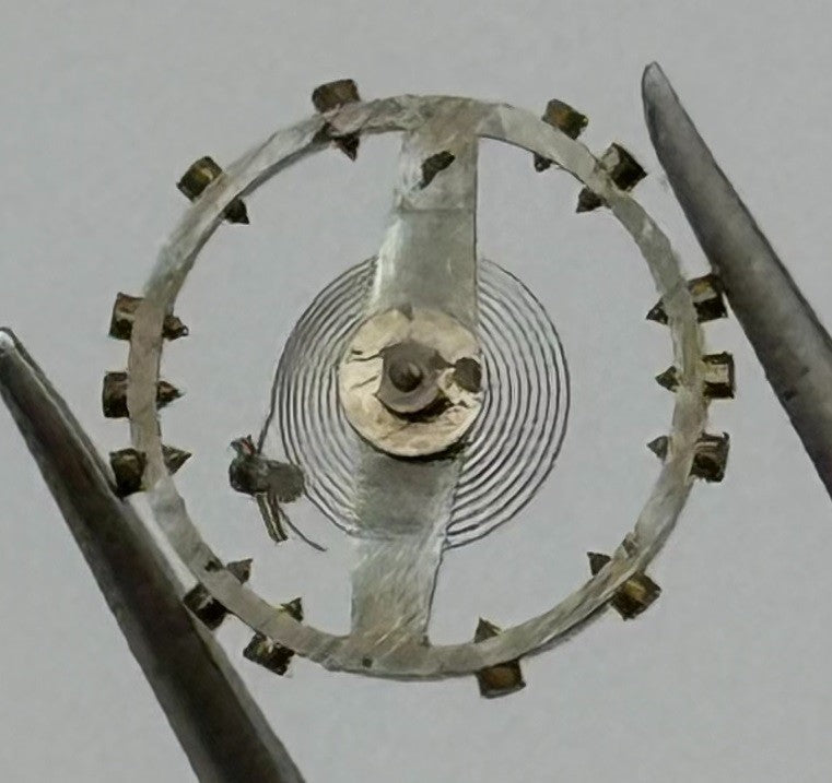 MST 349 Balance Wheel Complete And Spring 5¼’’’ 256 M Watch Movement Parts NOS
