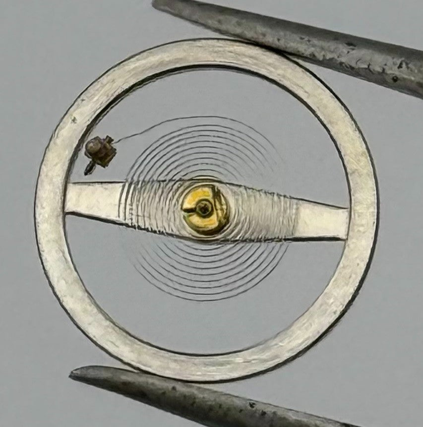 RL Rax 1013 1237 Balance Wheel Complete And Spring 1679 M Watch Movement Parts