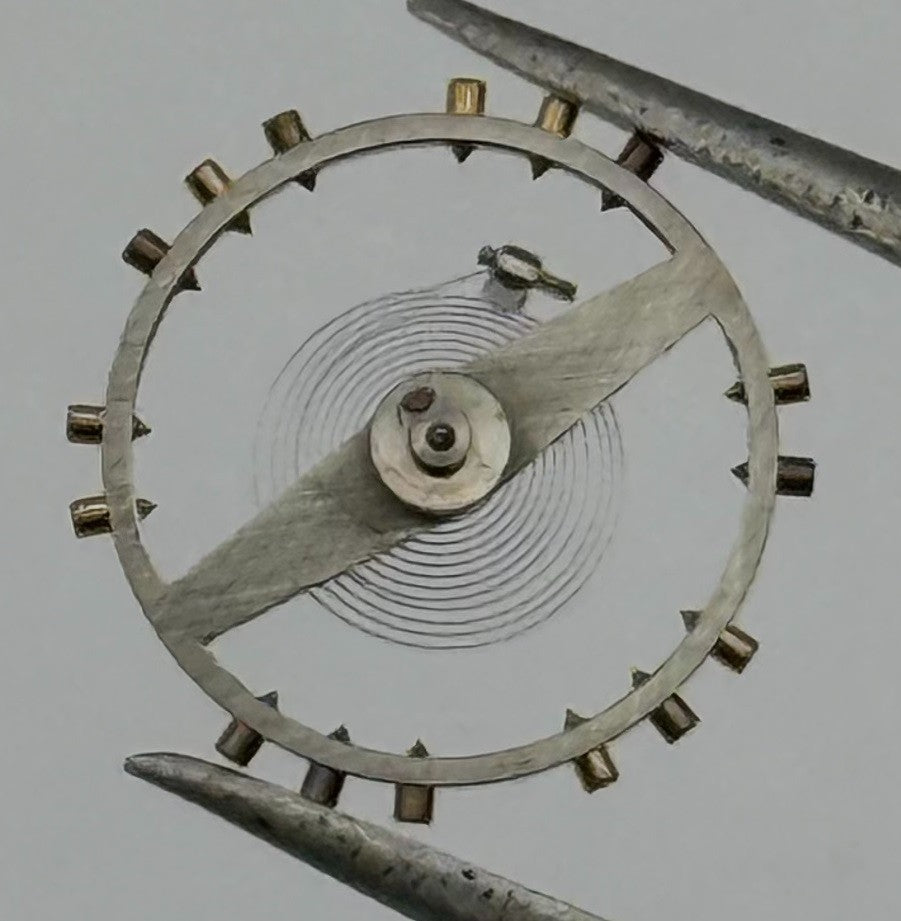 Rego 22 DGT Balance Wheel Complete And Spring Renata 295 Watch Movement Parts