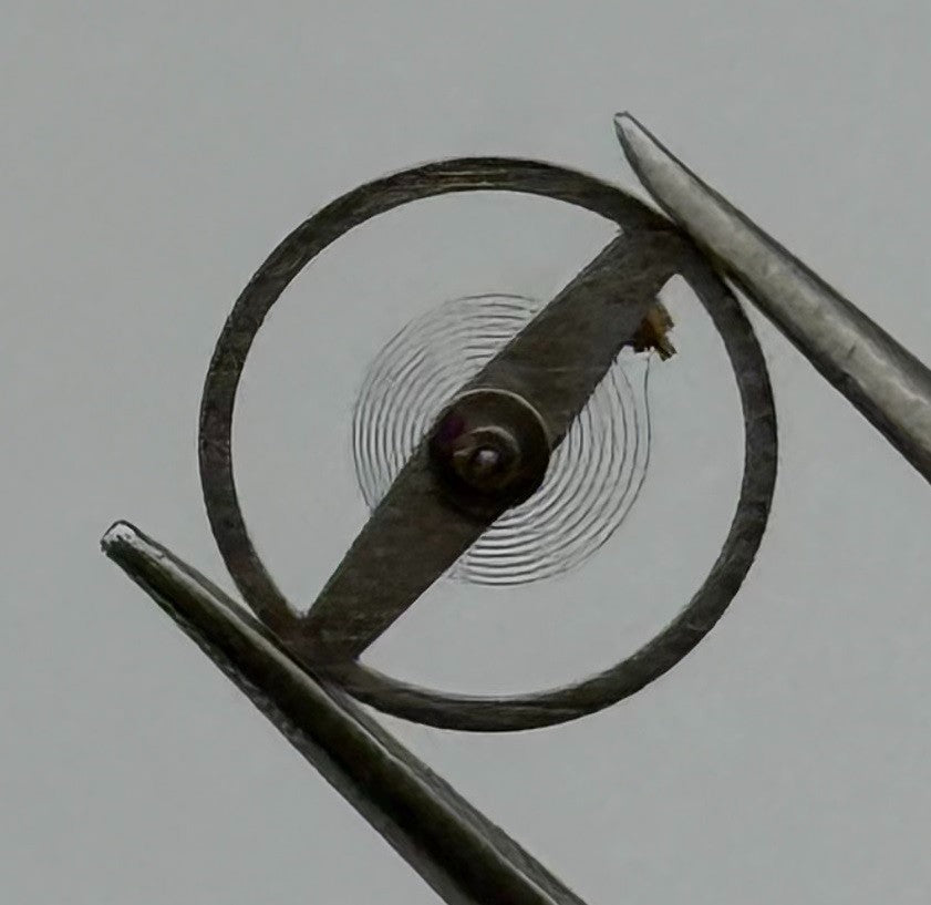 RL 5901-05 Balance Wheel Complete And Spring 6¾’’’x8 Watch Movement Parts NOS