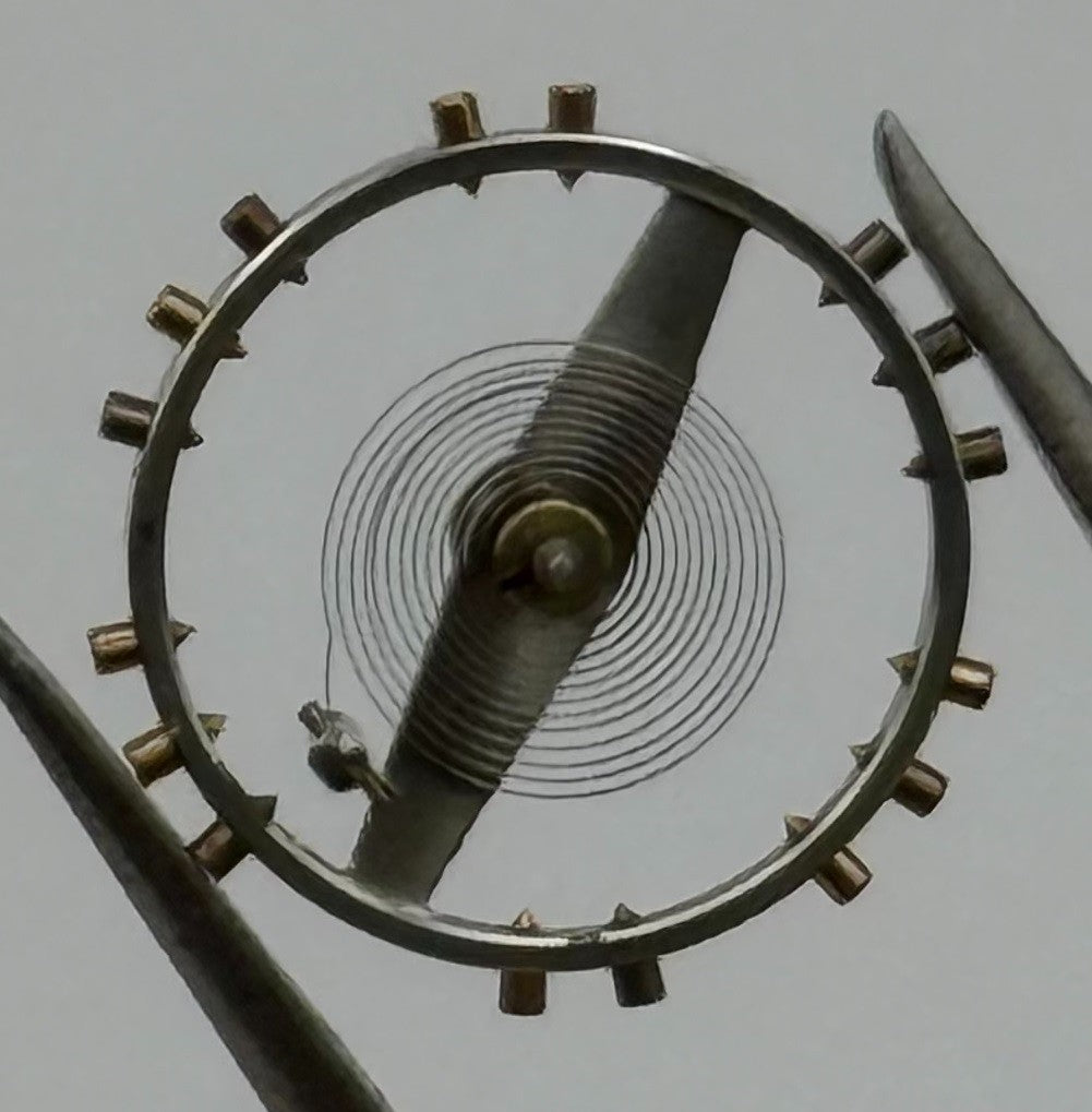 Rego 22 DGT Balance Wheel Complete And Spring Renata 295 Watch Movement Parts