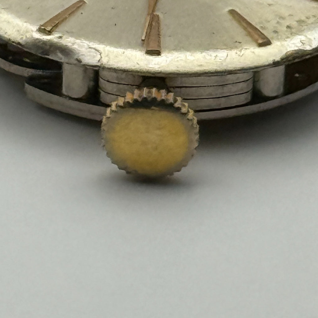 Eden Watch Movement Antimagnetic 1 Jewel Swiss Manual Wind Parts Repair 22.2mm
