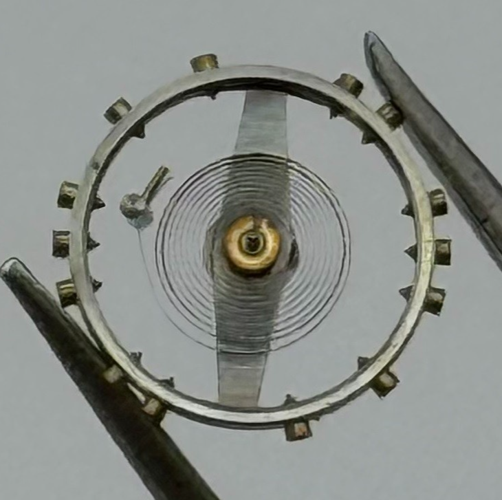 MST 349 Balance Wheel Complete And Spring 5¼’’’ Renata 256 Watch Movement Parts