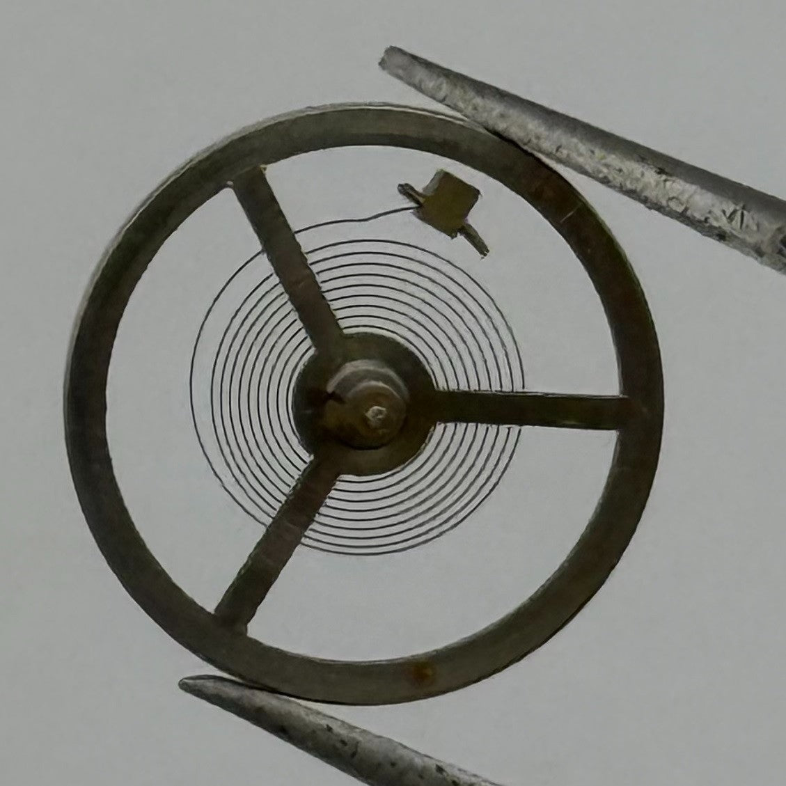 Oris Balance Wheel Complete And Spring Watch Movement Parts Vintage NOS