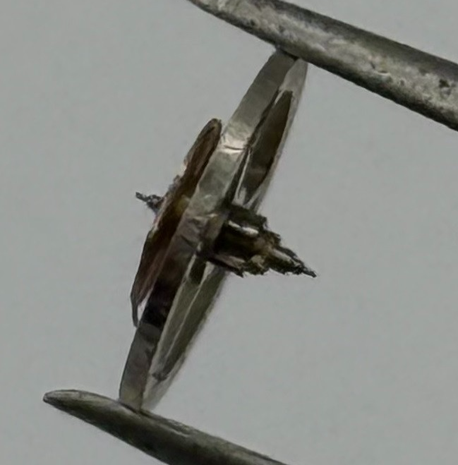 OC 1 Balance Wheel Complete And Spring 8¾’’’ Renata 1533 Watch Movement Parts