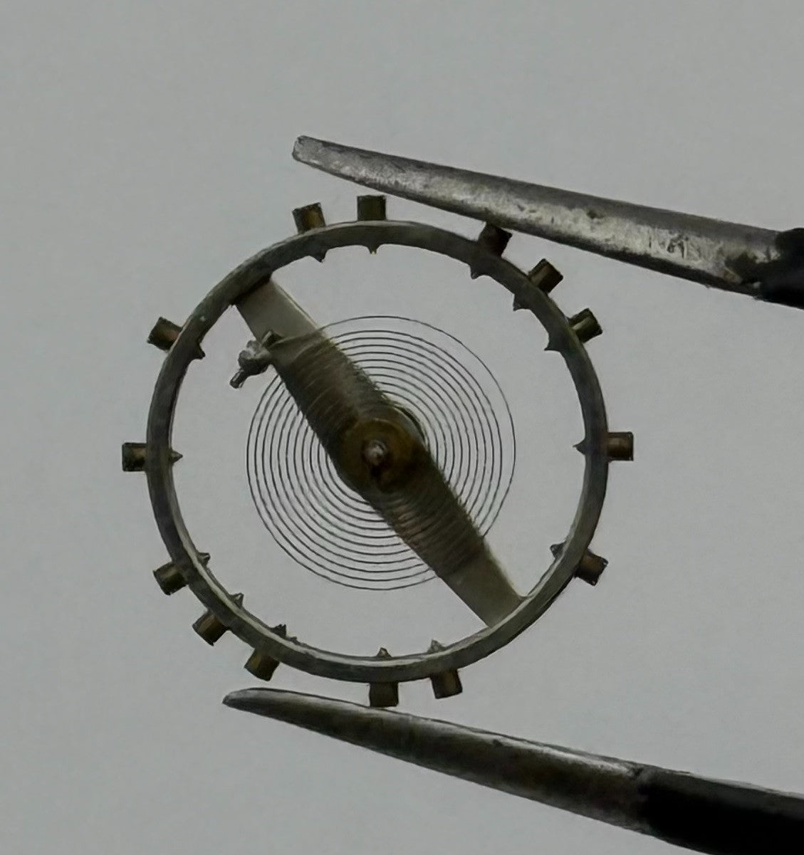 Lorsa 237 N Balance Wheel Complete And Spring 10½’’’ Ronda Watch Movement Parts