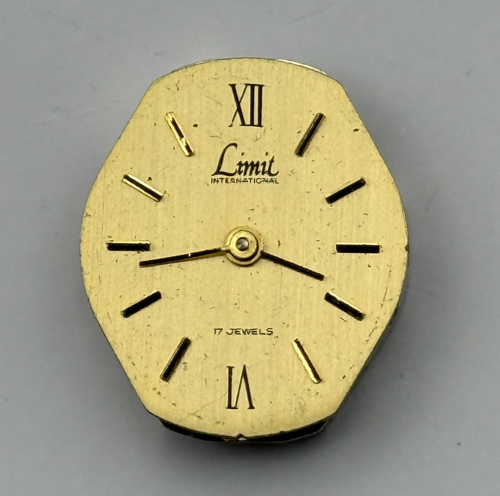 FE 163 Watch Movement Limit 17 Jewels Swiss Manual Wind Parts Repair 15.3mm