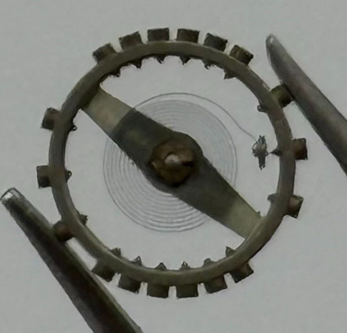 AS 976 1012 Balance Wheel Complete And Spring Renata 29 M Watch Movement Parts