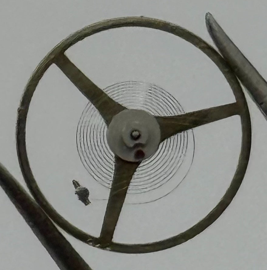 SGT 200 300 3002 E4 Balance Wheel Complete And Spring 1890 M Watch Movement NOS