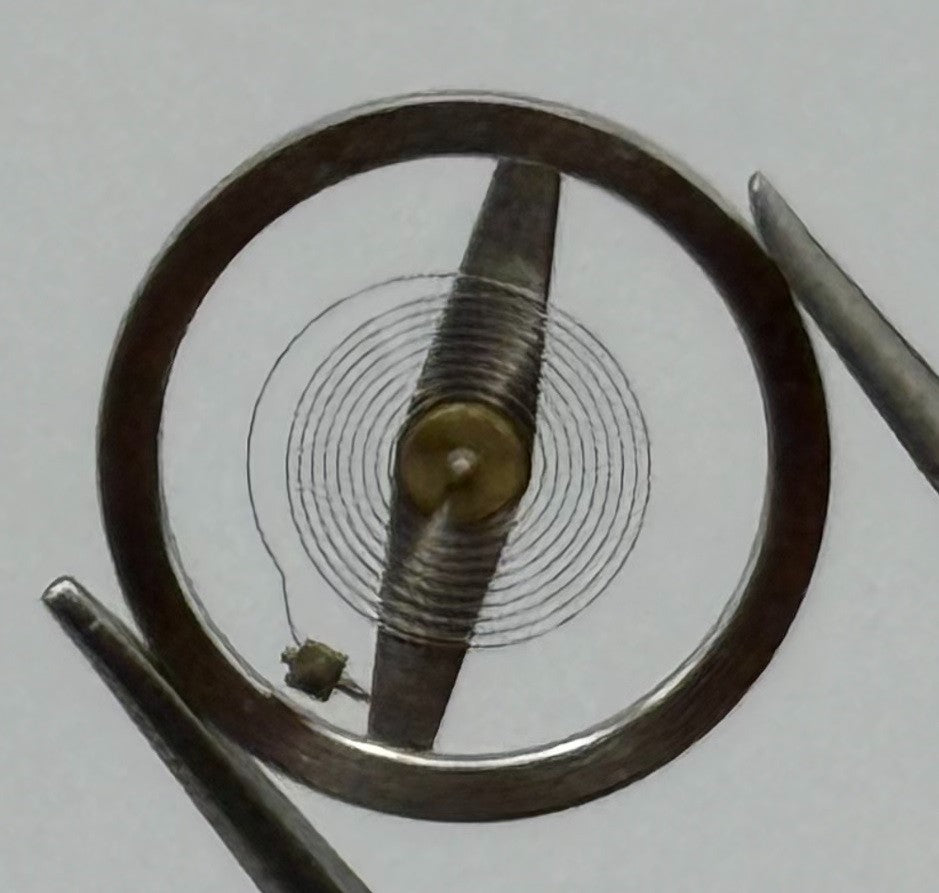 RL Rax 1013 1237 a pl Balance Wheel Complete And Spring 1679 Watch Movement NOS