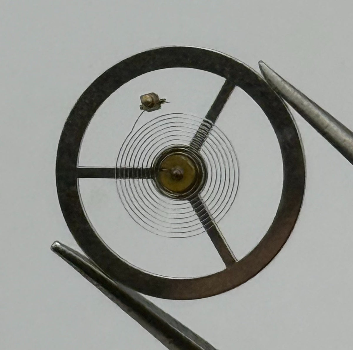 BFG 582 Balance Wheel Complete And Spring 10½’’’ Renata 1789 Watch Movement Part
