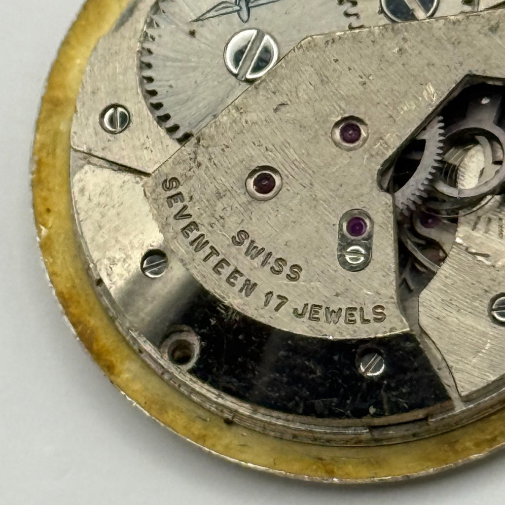 AS 1795 Watch Movement A. Schild 1795 Rotary 17J Incabloc Swiss Parts 25.9mm
