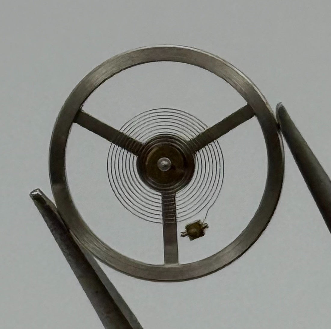 Ebosa 65 Balance Wheel Complete And Spring 12½’’’ 942 Watch Movement Parts NOS