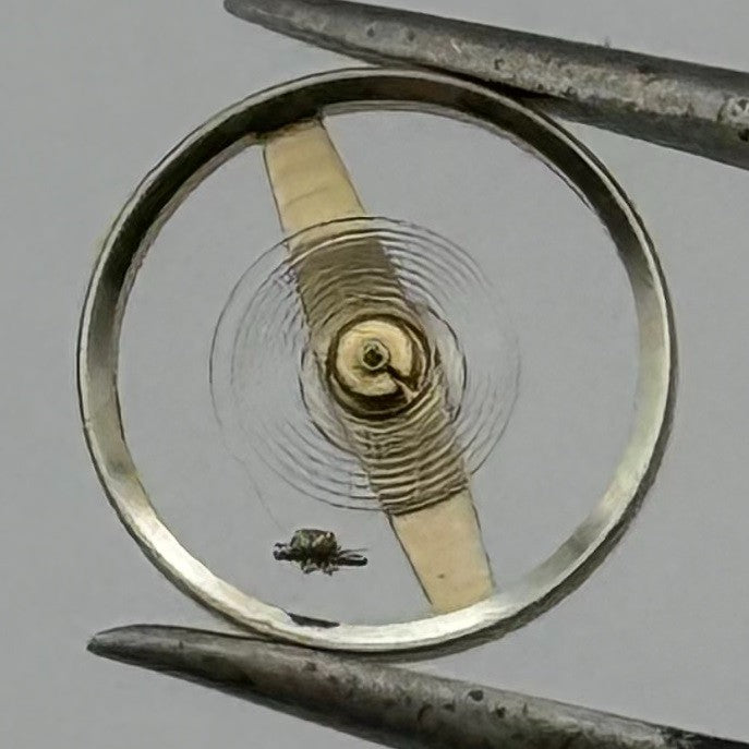 Oris 590 Balance Wheel Complete And Spring Renata 1725 Watch Movement Parts NOS
