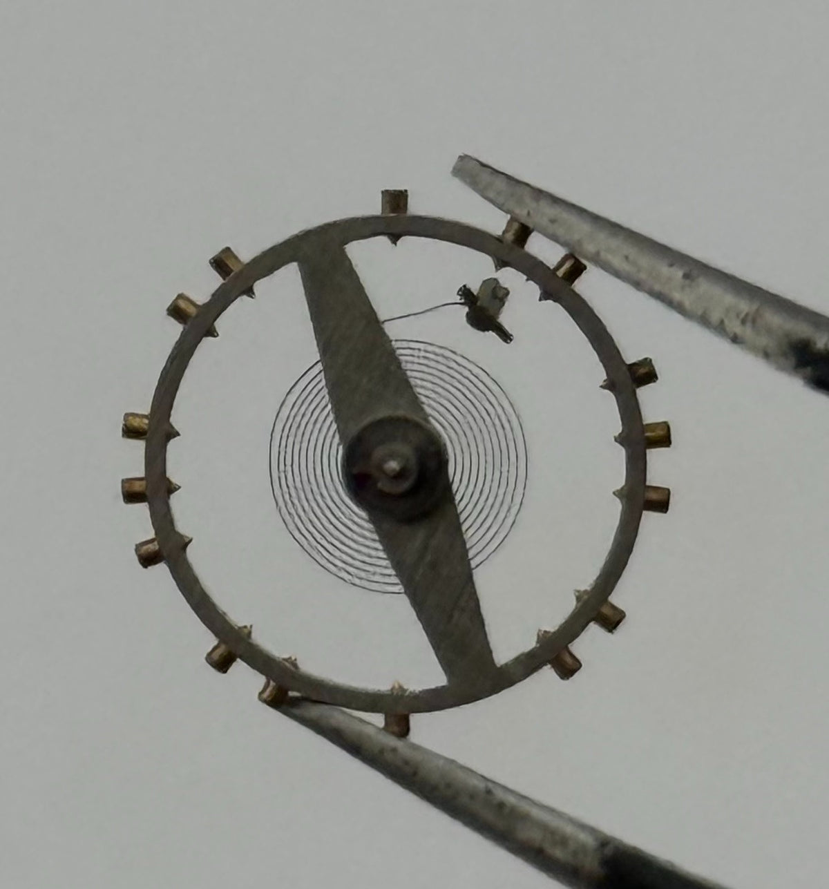 AS 1700-3 Balance Wheel Complete And Spring Renata 1165 Watch Movement Parts NOS