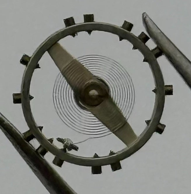 EJ 51 Balance Wheel Complete And Spring 5¼''' N 653 Watch Movement Parts NOS