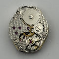 FE 163 Watch Movement Limit 17 Jewels Swiss Manual Wind Parts Repair 15.3mm