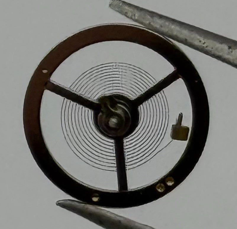 BFG 34 DGT Balance Wheel Complete And Spring Renata 58 Watch Movement Parts NOS