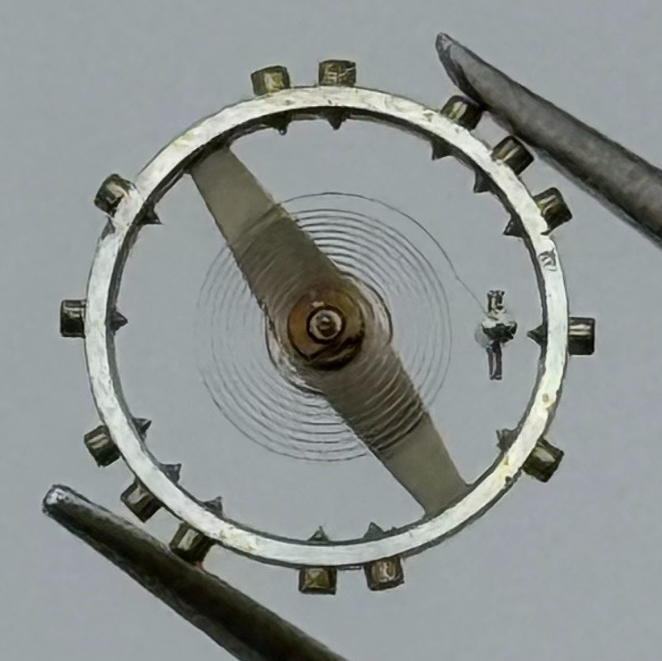 MST 349 Balance Wheel Complete And Spring 5¼’’’ Renata 256 Watch Movement Parts