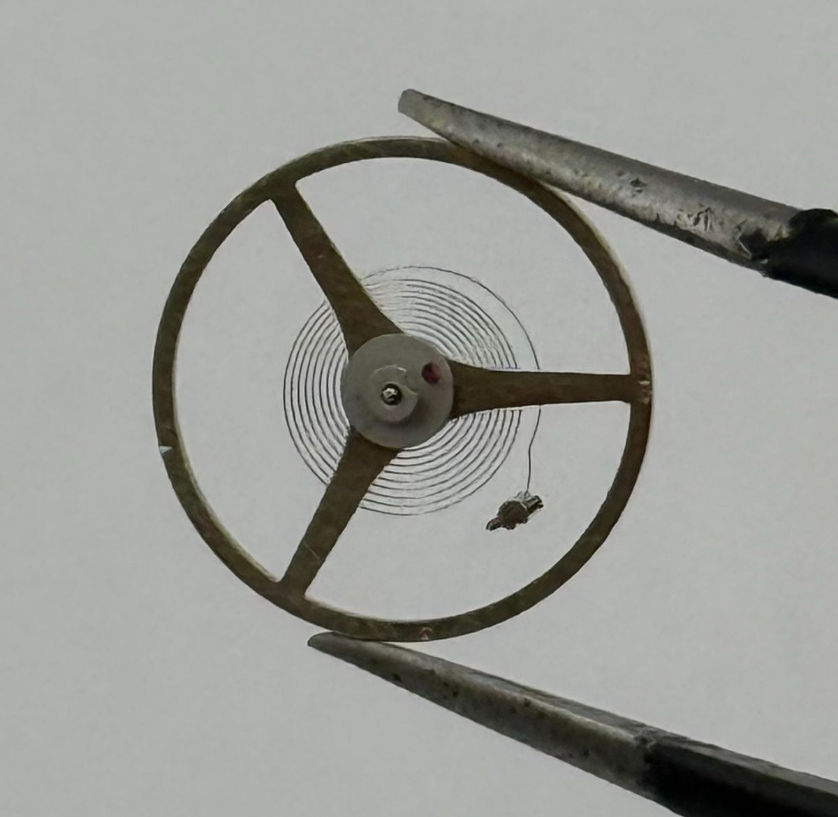 SGT 200 300 3002 E4 Balance Wheel Complete And Spring 1890 Watch Movement Parts