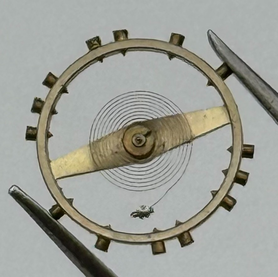 AS 1194 Balance Wheel Complete And Spring Renata 42 M Watch Movement Parts NOS