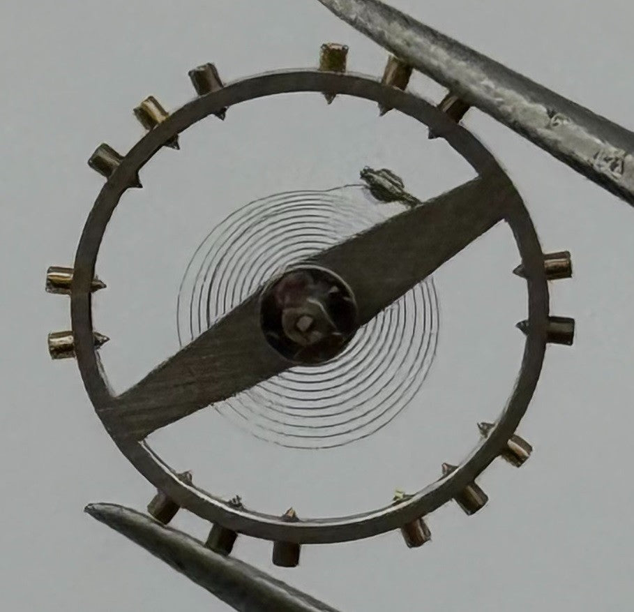 Rego 22 DGT Balance Wheel Complete And Spring Renata 295 Watch Movement Parts