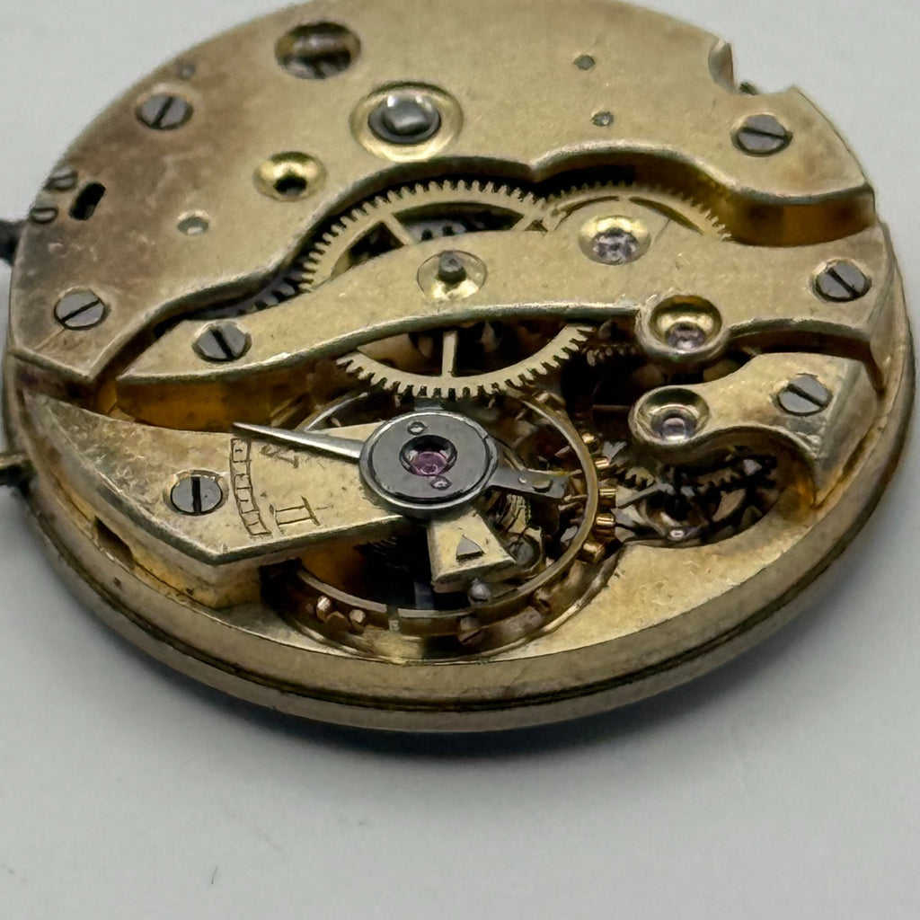 Habert Hype Pin Set Watch Movement Antique Red 12 Manual Wind Parts 25.1mm
