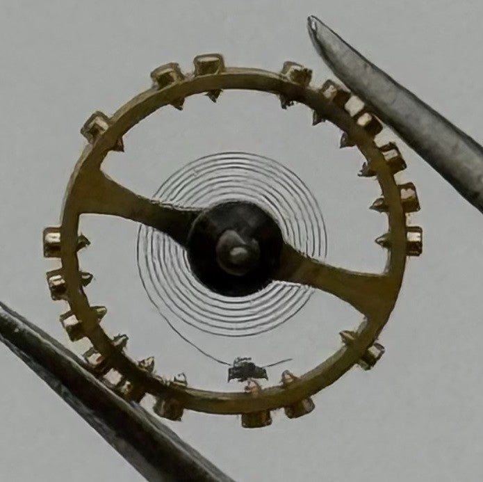 AS 976 1012 Balance Wheel Complete And Spring 29 M Watch Movement Parts NOS