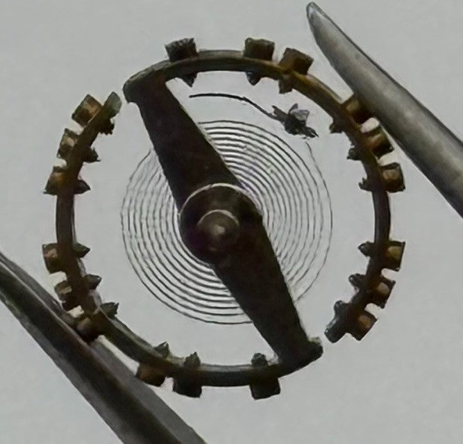 AS 976 1012 Balance Wheel Complete And Spring Renata 29 Watch Movement Parts NOS