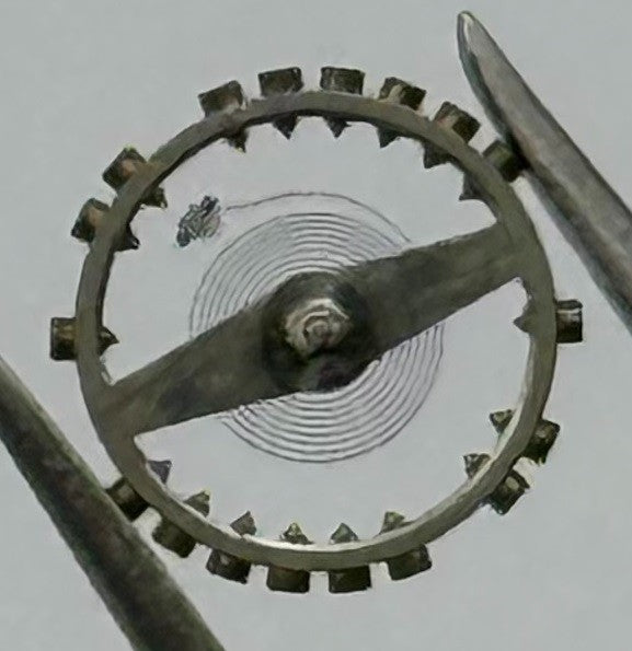 AS 976 1012 Balance Wheel Complete And Spring Renata 29 Watch Movement Parts NOS