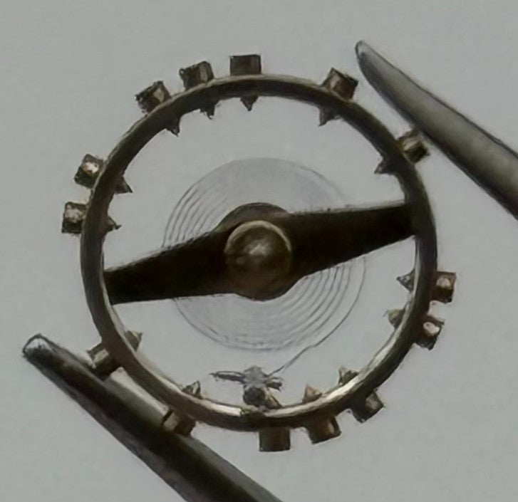 AS 1677 Balance Wheel Complete And Spring Renata 1224 M Watch Movement Parts NOS
