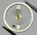 RL Rax 1013 1237 Balance Wheel Complete And Spring 1679 Watch Movement Parts NOS