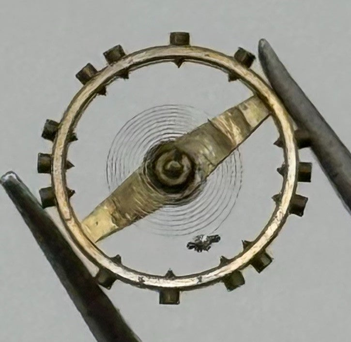 FEF 270 Balance Wheel Complete And Spring 5¼’’’ Renata 173 Watch Movement Parts