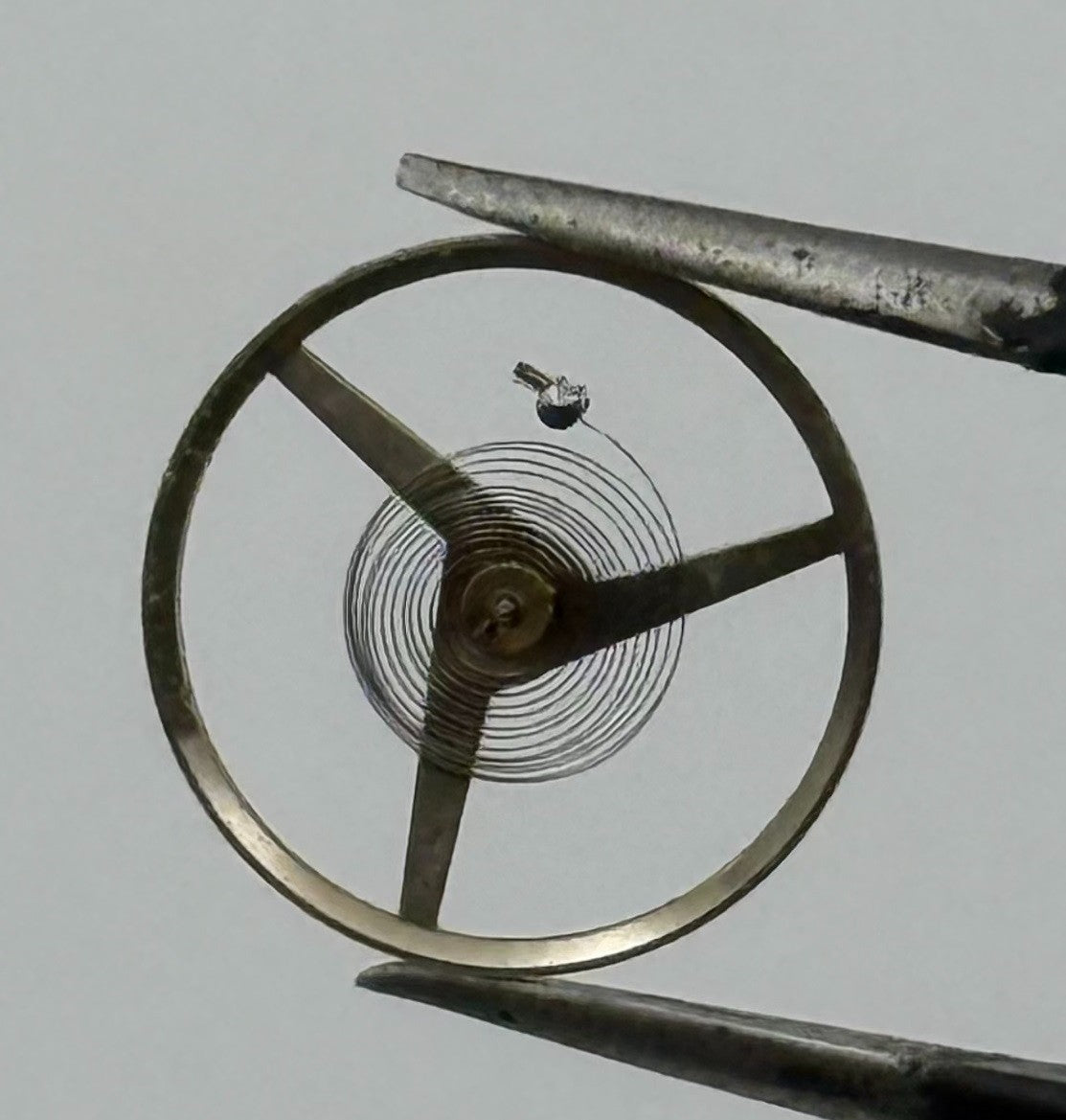 ST 1940 1950 Balance Wheel Complete And Spring Renata Watch Movement Parts NOS