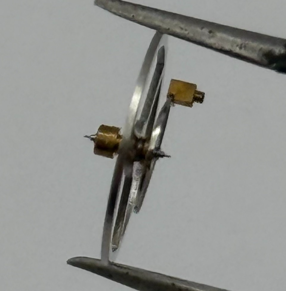 BFG 844 Balance Wheel Complete And Spring 10½’’’ 1667 Watch Movement Parts NOS