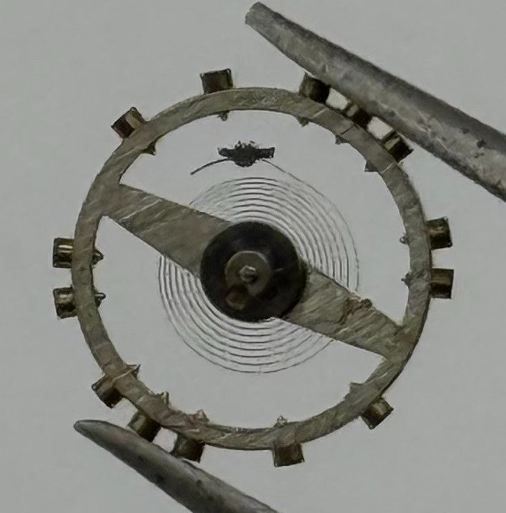 FEF 370 371 Balance Wheel Complete And Spring Renata 176 Watch Movement Parts