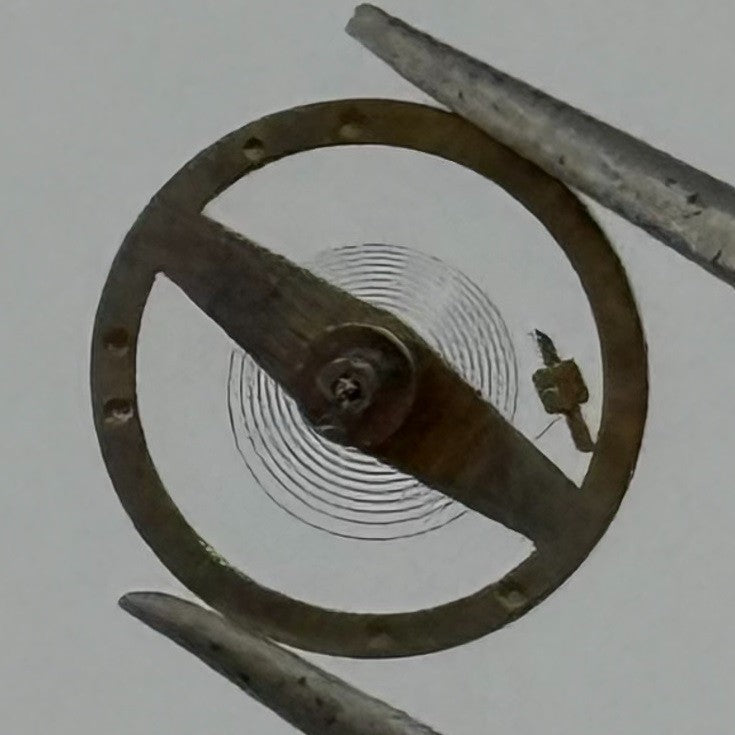 Brac 2051 Balance Wheel Complete And Spring 5½’’’ 69 M Watch Movement Parts NOS