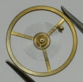 BFG 582/21 Balance Wheel Complete And Spring 13½’’’ 1840 Watch Movement Parts