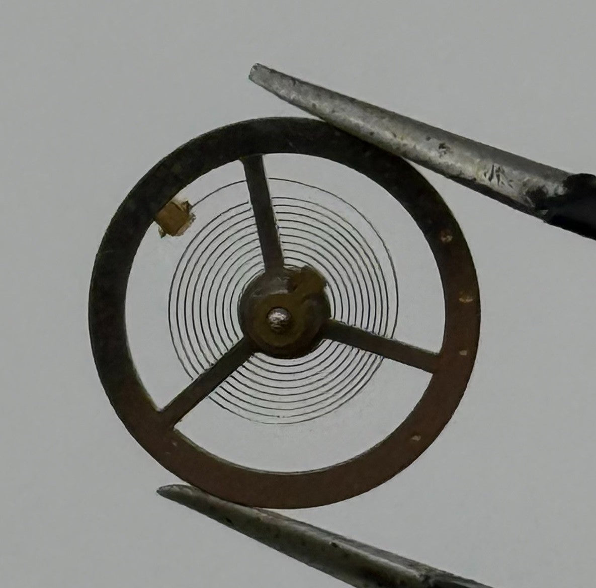 Brac 180 Balance Wheel Complete And Spring 12’’’ Pour Watch Movement Parts NOS