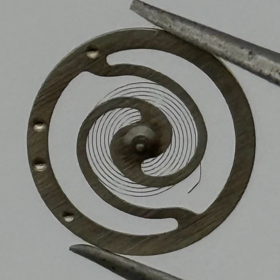RL Rax 1013 1237 Balance Wheel Complete And Spring 1679 M Watch Movements Parts