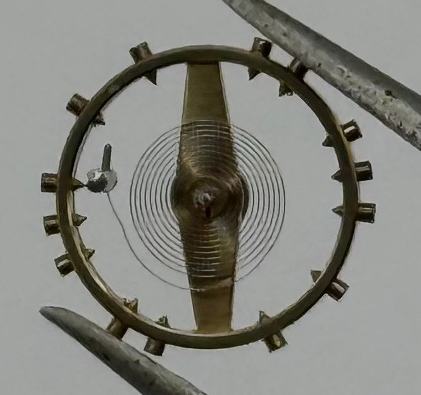 AS 1240 Balance Wheel Complete And Spring 8¾’’’ Renata 49 M Watch Movement Parts