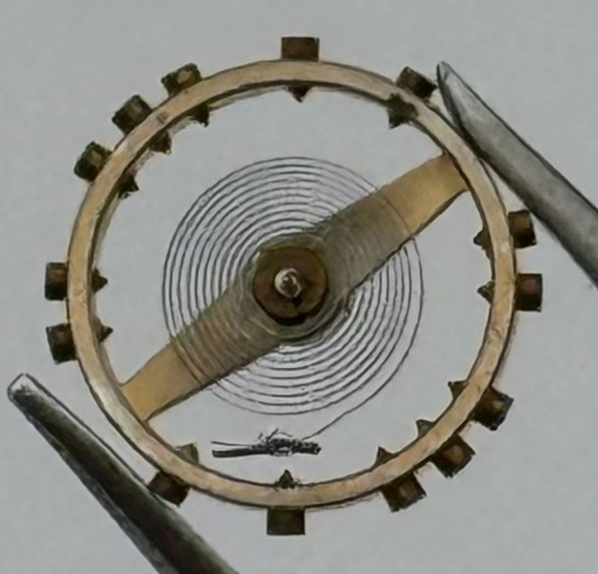 AS 1051 Balance Complete - Watch Parts - NOS - Select From Available Options