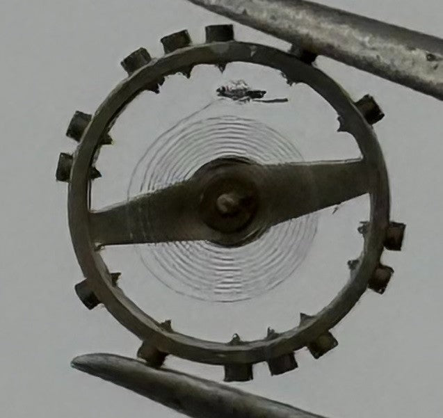 AS 976 Balance Wheel Complete And Spring 5’’’ Ronda 113 Watch Movement Parts NOS