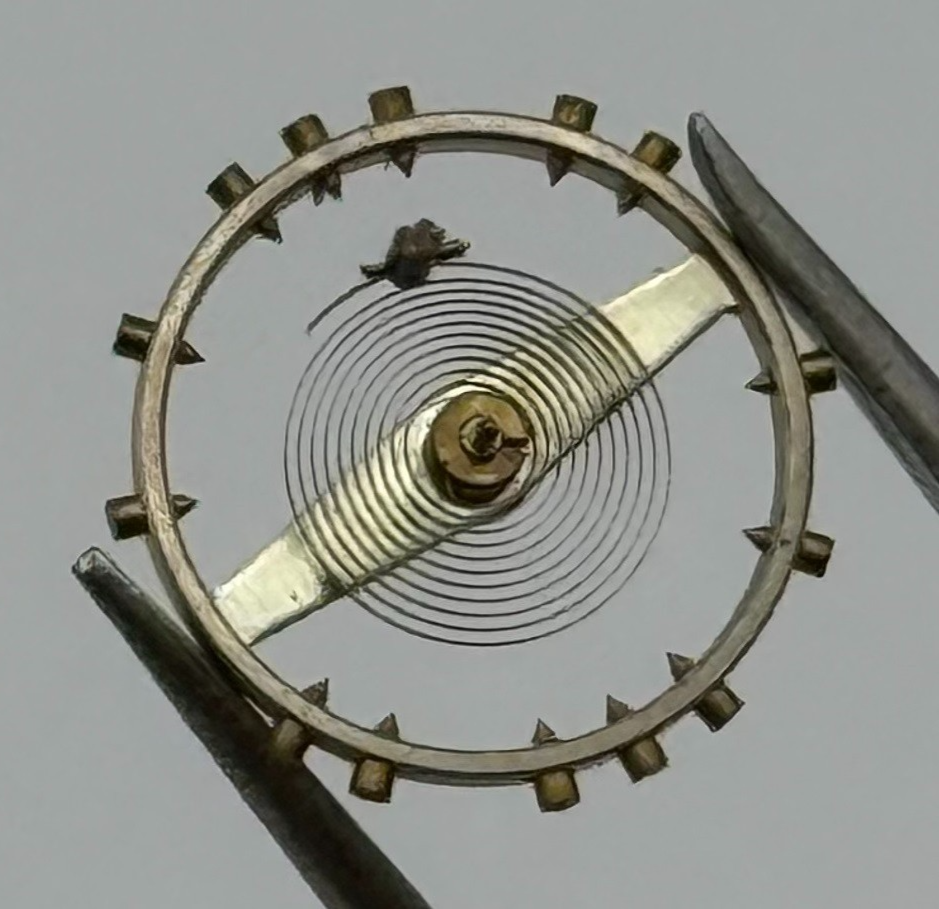 Lorsa P62 P75 Balance Wheel Complete And Spring Renata 1282 Watch Movement Parts