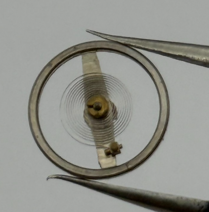 EB 1229 Balance Wheel And Spring  Special Watch Movement Parts Used