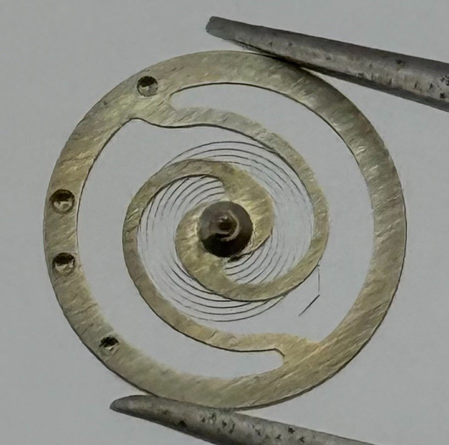 RL Rax 1013 1237 Balance Wheel Complete And Spring 1679 M Watch Movements Parts