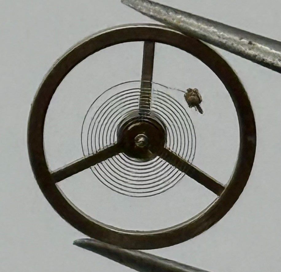 Ebosa 65 Balance Wheel Complete And Spring 12½’’’ 942 Watch Movement Parts NOS