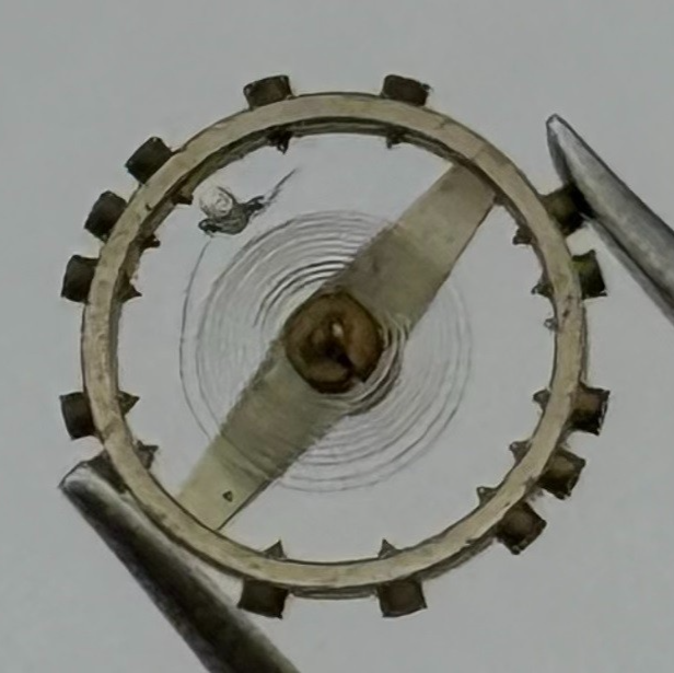 AS 976 1012 Balance Wheel Complete And Spring 29 M Watch Movement Parts NOS