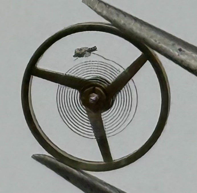 FHF 34 Balance Wheel Complete And Spring Renata 1107 M Watch Movement Parts NOS