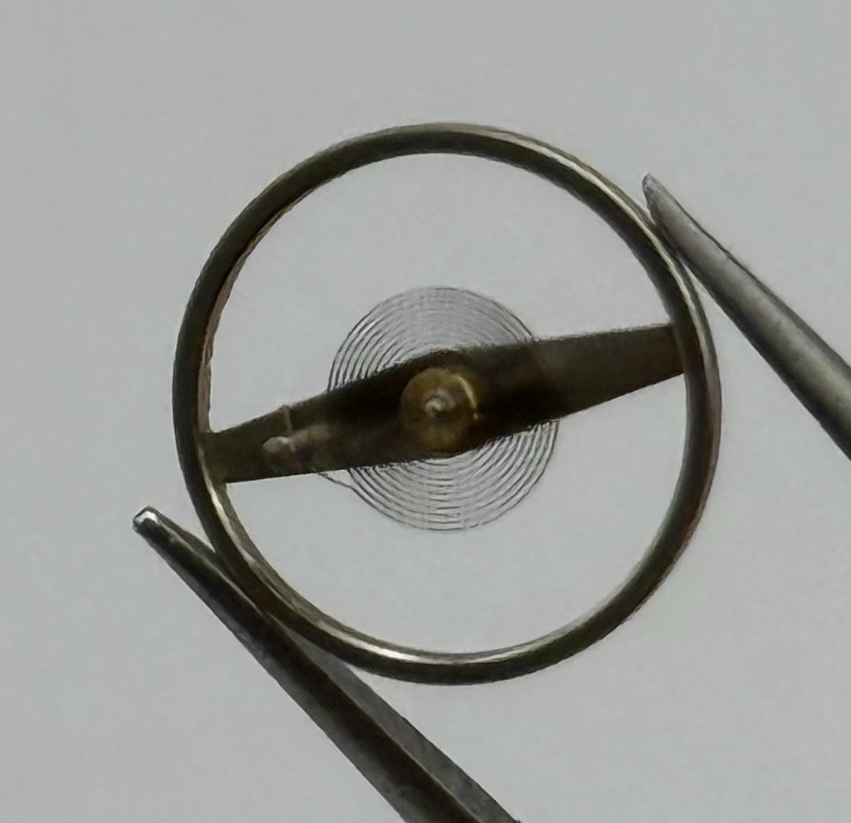 Forster 194 Balance Wheel Complete And Spring 1588 Watch Movement Parts NOS
